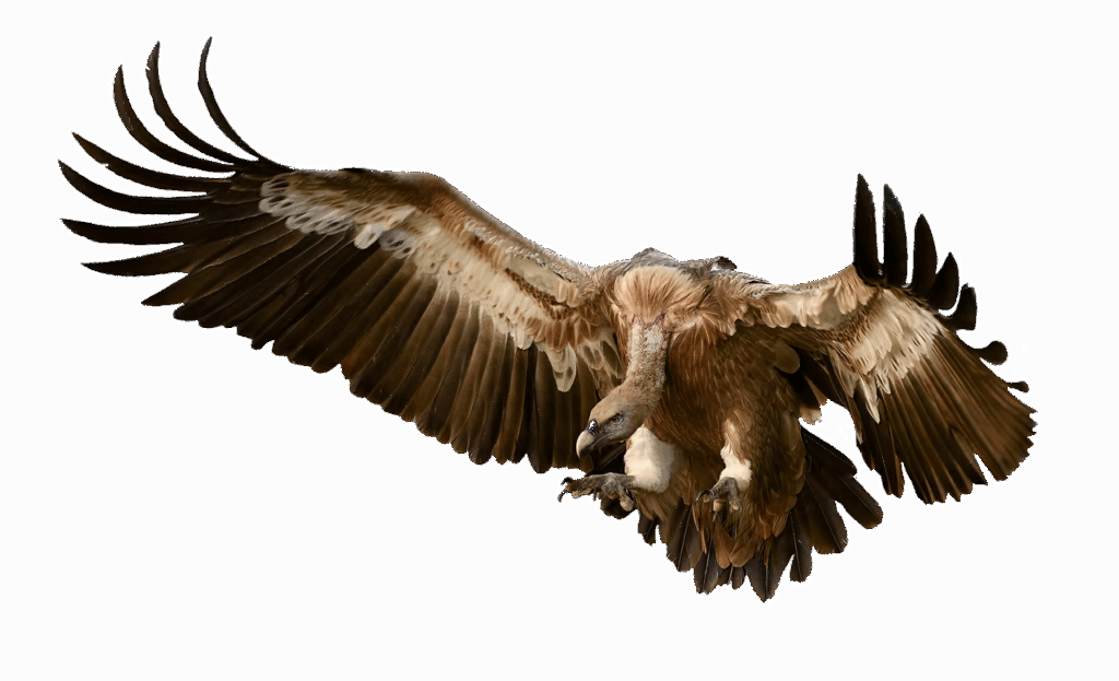 アプローチをトップにしない方法とは？