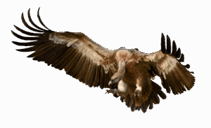 アプローチをトップにしない方法とは？