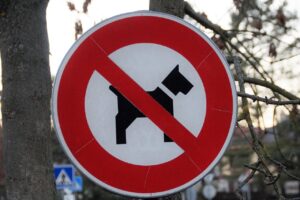 パターが入らない悩みを解決するための練習法は？