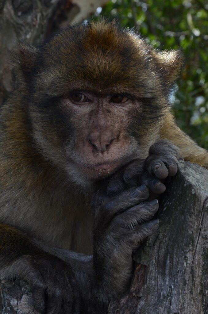 ユーティリティが苦手な人が克服するための効果的な方法は？