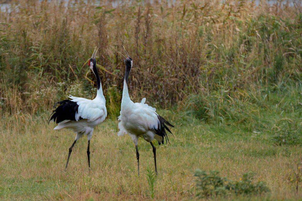 ユーティリティが飛ばない場合の改善方法は？
