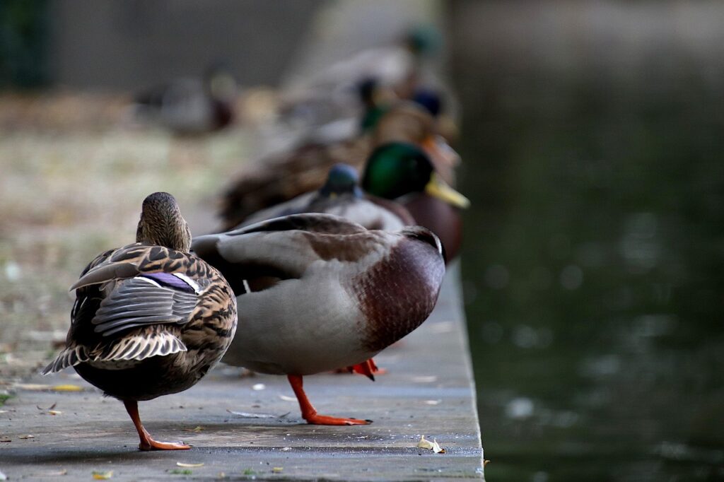 半年で100切りを達成するための効果的な方法は？