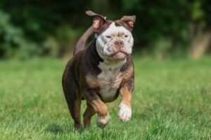 ヘッドスピードを上げるための効果的なトレーニング方法は？