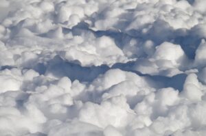 林から出す方法は？ゴルフでのコツと注意点を解説！